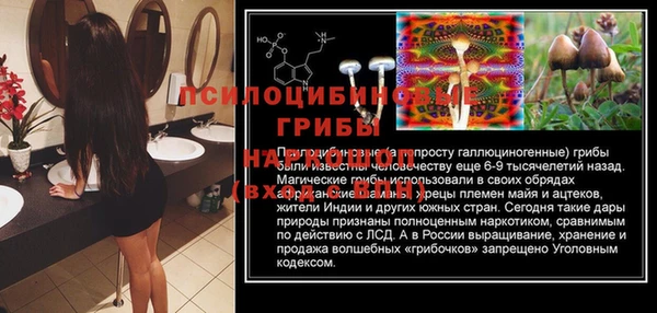 прущая мука Надым