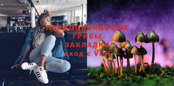 прущая мука Надым