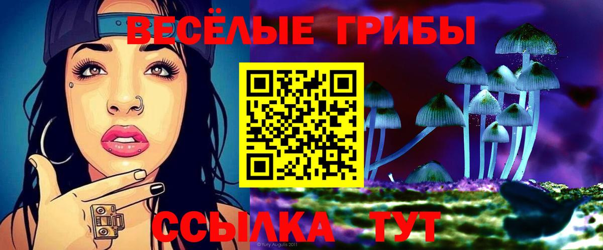 купить наркоту  Галлюциногенные грибы Cubensis  Вход с VPN  Тихвин 